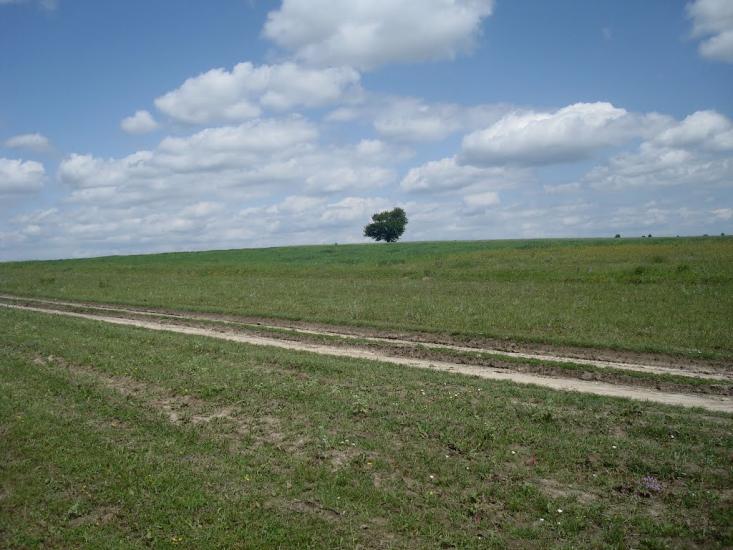 Стуфчинці з panoramio.com - Стуфчинцы