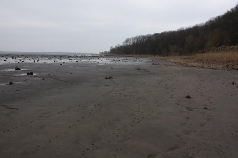 Лящівка з panoramio.com - Lyaschivka