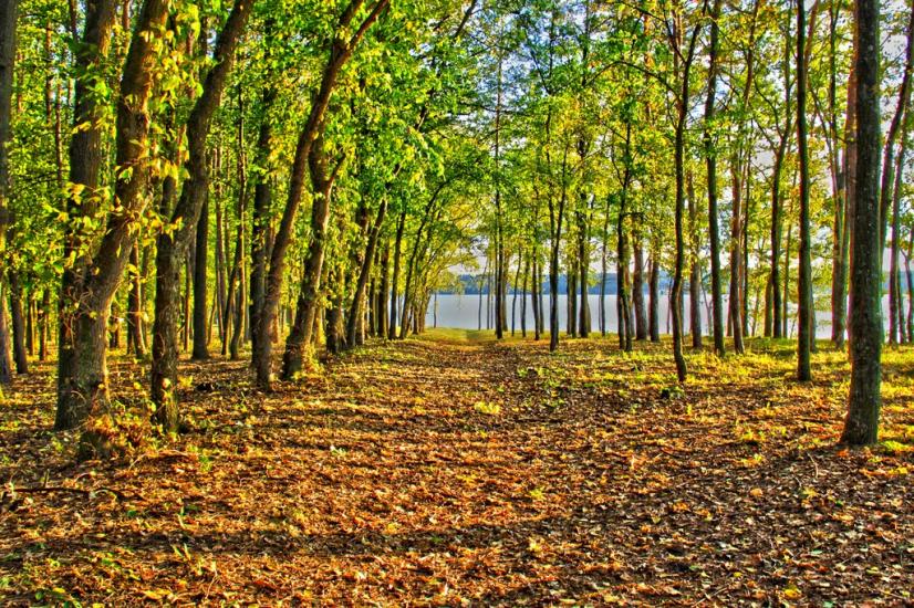 Хотімля з panoramio.com - Khotimlya