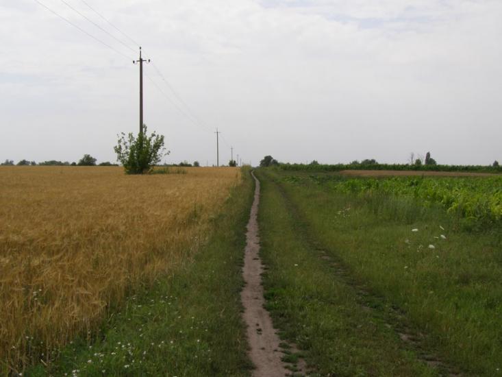 Пінчуки з panoramio.com - Пінчуки