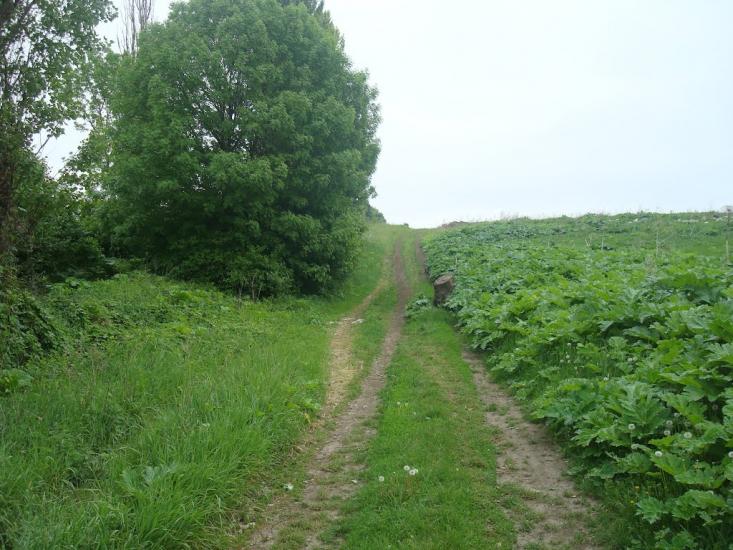 Шаровечка з panoramio.com - Sharovechka