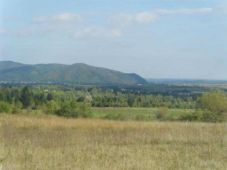 Пшеничники з panoramio.com - Пшеничники