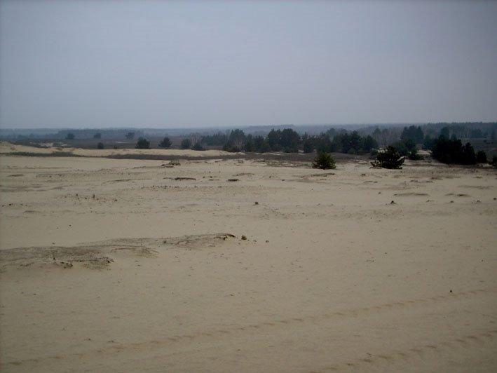 Кицівка з panoramio.com - Кицевка