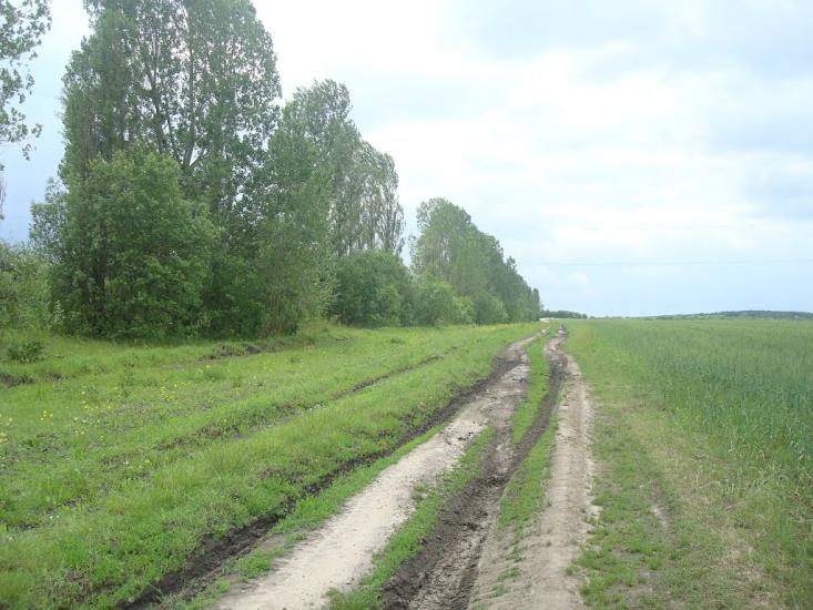 Стуфчинці з panoramio.com - Стуфчинцы