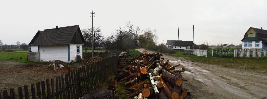 Зубковичі з panoramio.com - Зубковичи