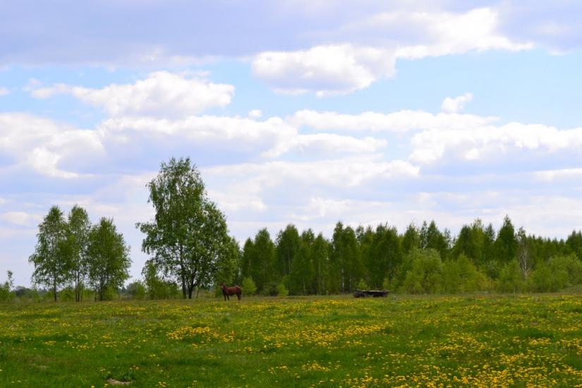 Горбаків з panoramio.com - Горбаків