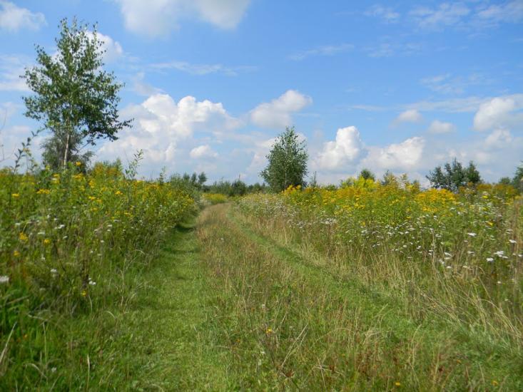 Велика Калинка з panoramio.com - Велика Калинка