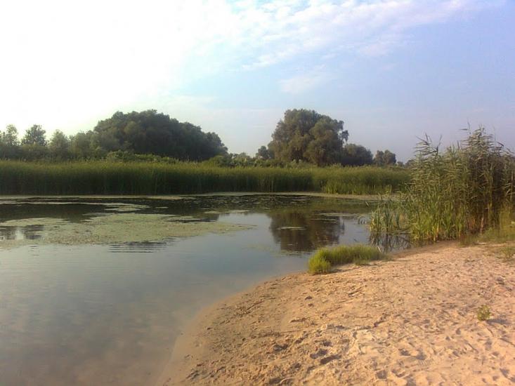 Кам'яні Потоки з panoramio.com - Kamyani Potoky