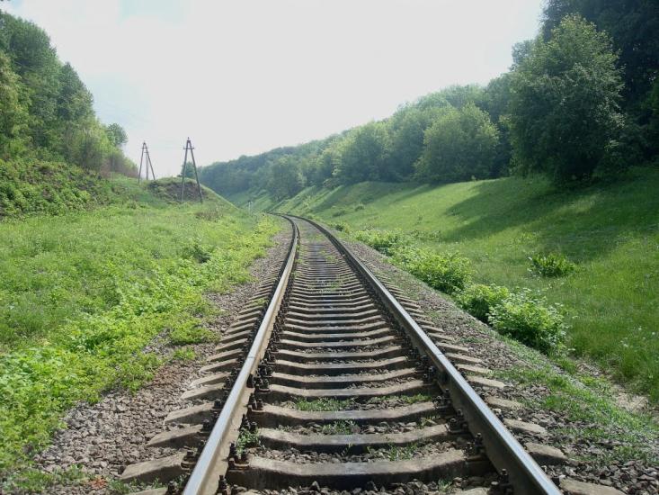 Нестерівці з panoramio.com - Нестеровцы
