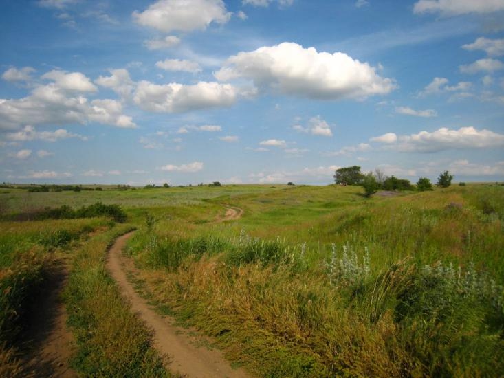 Малокостянтинівка з panoramio.com - Малоконстантиновка