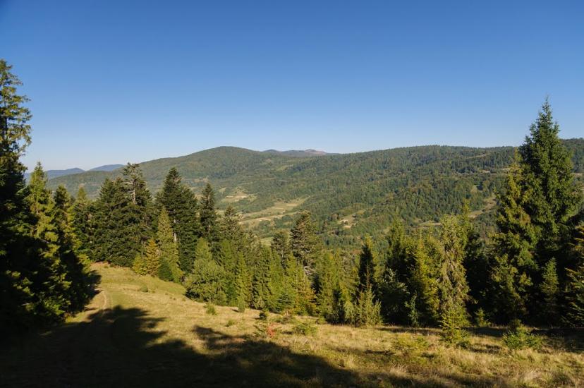 Ужок з panoramio.com - Uzhok
