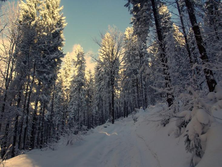 Руський Мочар з panoramio.com - Русский Мочар