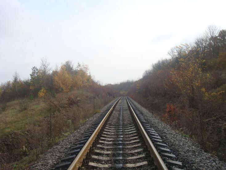 Вільхівчик з panoramio.com - Ольховчик