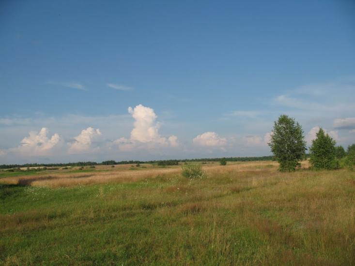 Камінь-Каширський з panoramio.com - Камінь-Каширський