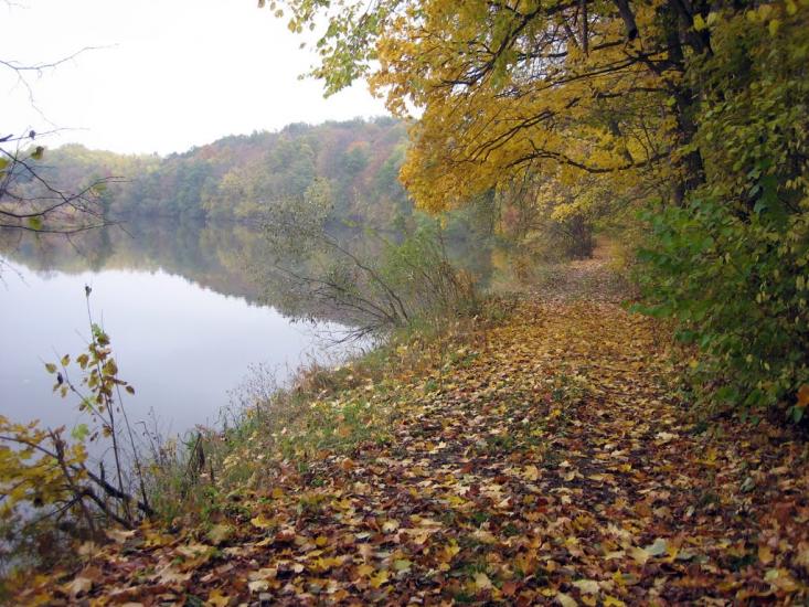Рогізна з panoramio.com - Рогозна