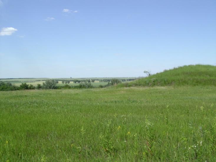 Брагинці з panoramio.com - Брагинцы