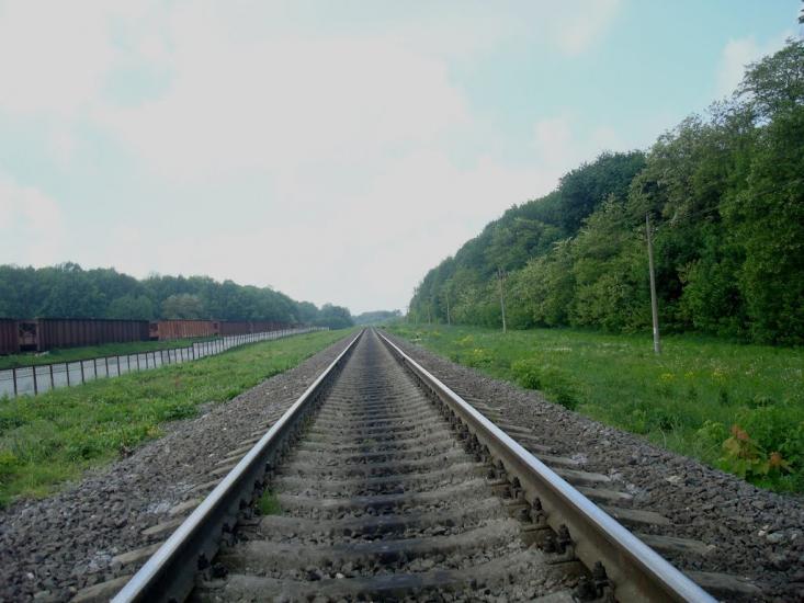 Нестерівці з panoramio.com - Нестеровцы