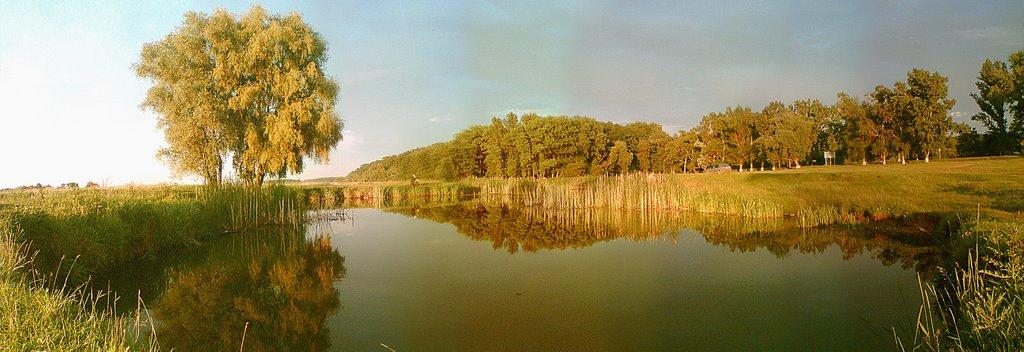 Заріччя з panoramio.com - Заріччя