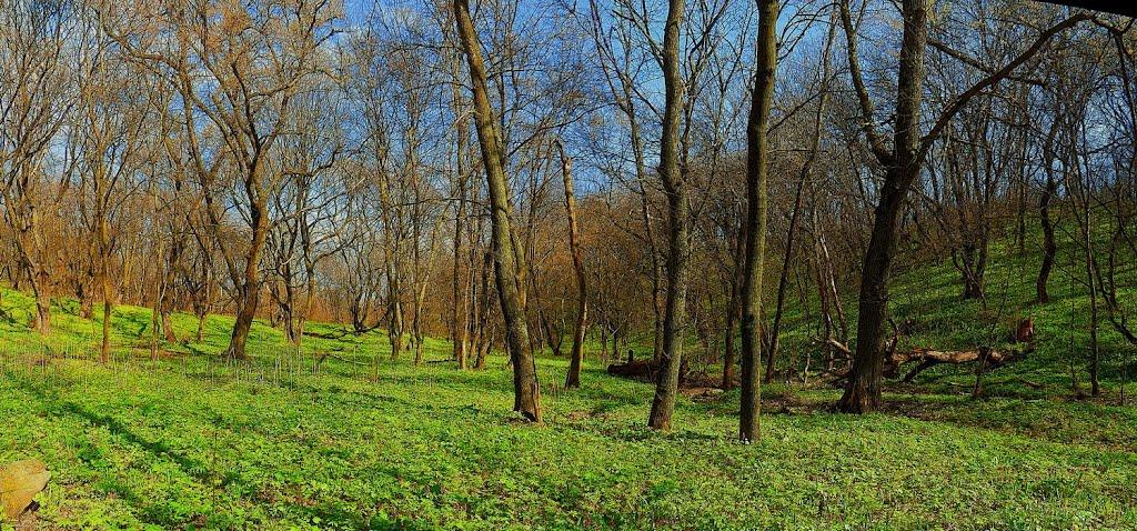 Юнокомунарівськ з panoramio.com - Юнокомунаровск