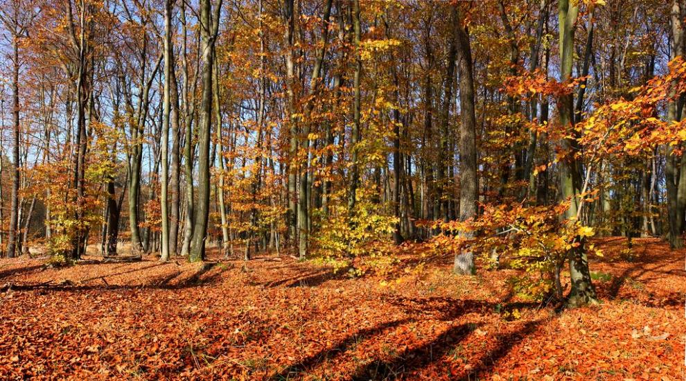 Гавареччина з panoramio.com - Gavarechchyna