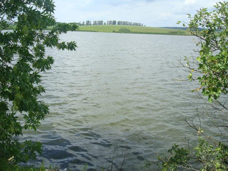 Стуфчинці з panoramio.com - Стуфчинцы