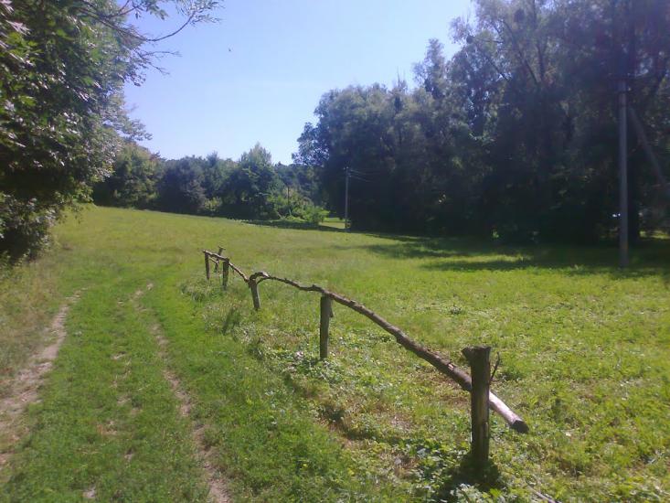 Товсті Роги з panoramio.com - Товсті Роги