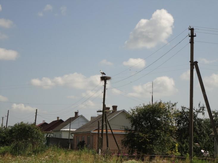Костопіль з panoramio.com - Kostopil