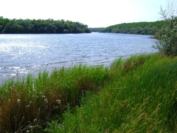 Балахівка з panoramio.com - Балаховка
