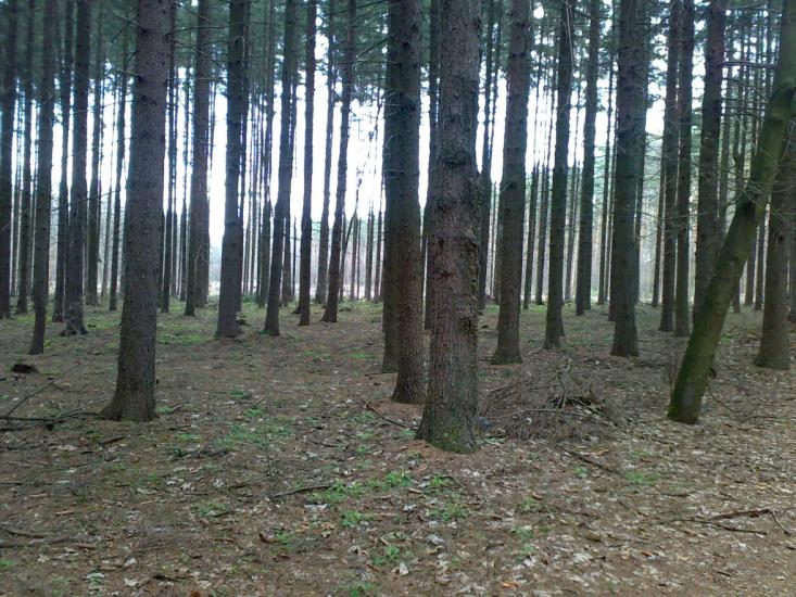 Бурімка з panoramio.com - Burimka