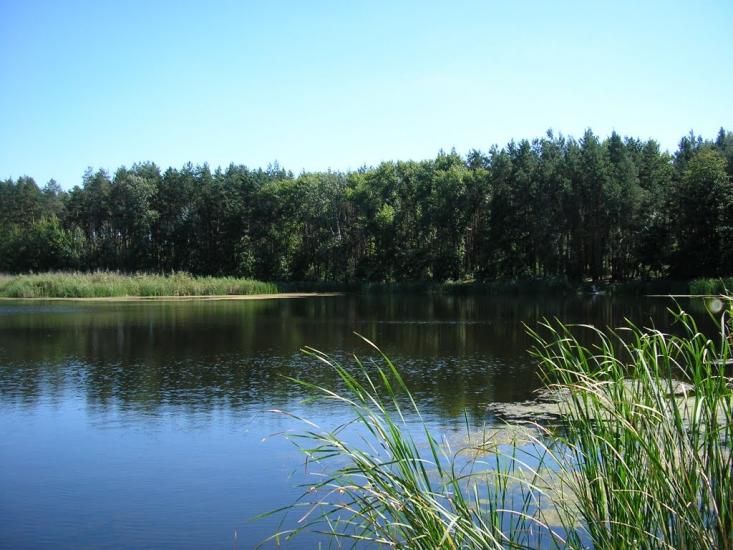 Підлиман з panoramio.com - Pidlyman