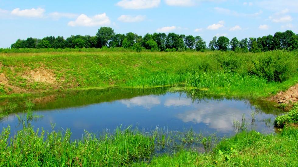 Ремчиці з panoramio.com - Ремчиці