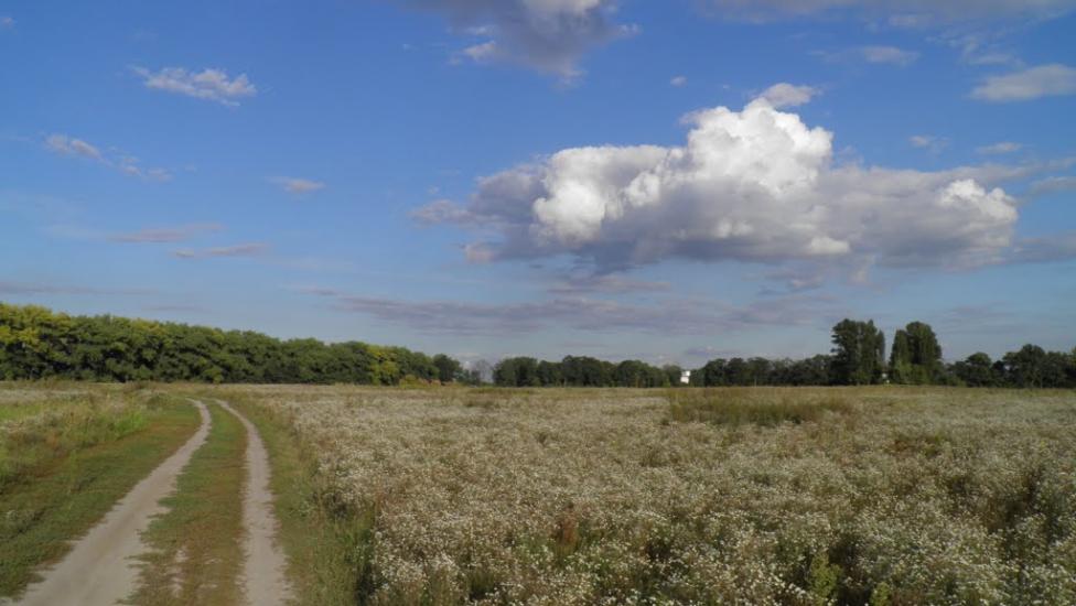 Віта-Поштова з panoramio.com - Віта-Поштова