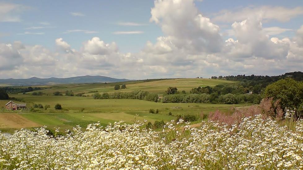 Павлівка з panoramio.com - Павлівка