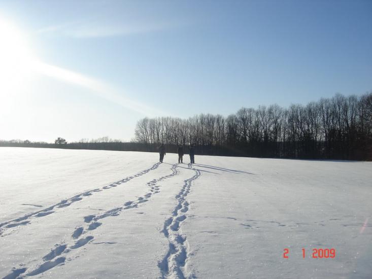 Мліїв з panoramio.com - Млиев