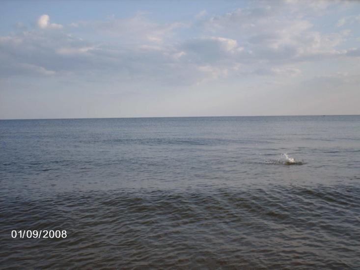 Урзуф з panoramio.com - Урзуф