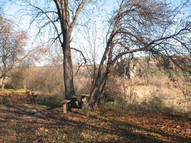Розанівка з panoramio.com - Розановка