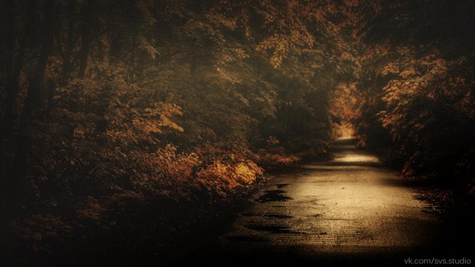 Бушеве з panoramio.com - Бушеве