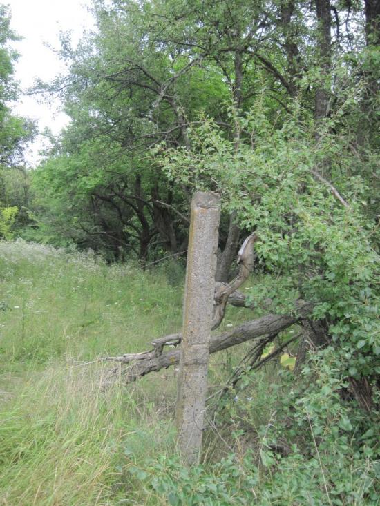 Павлиш з panoramio.com - Павлиш