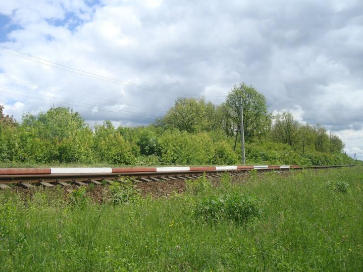 Балакири з panoramio.com - Балакири