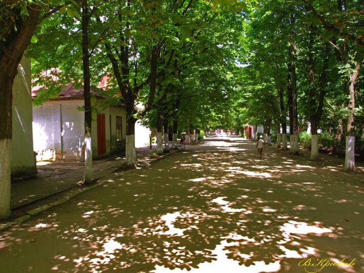Курортне з panoramio.com - Курортне