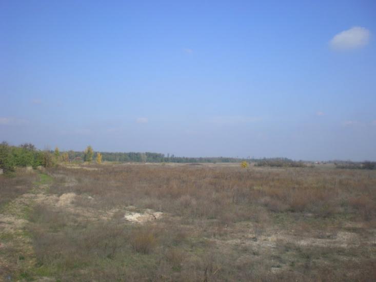 Великоолександрівка з panoramio.com - Великоолександрівка