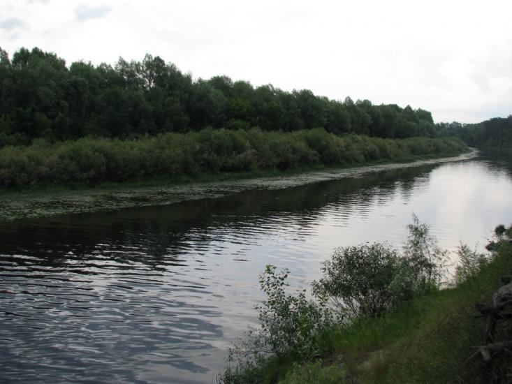 Снов'янка з panoramio.com - Сновянка
