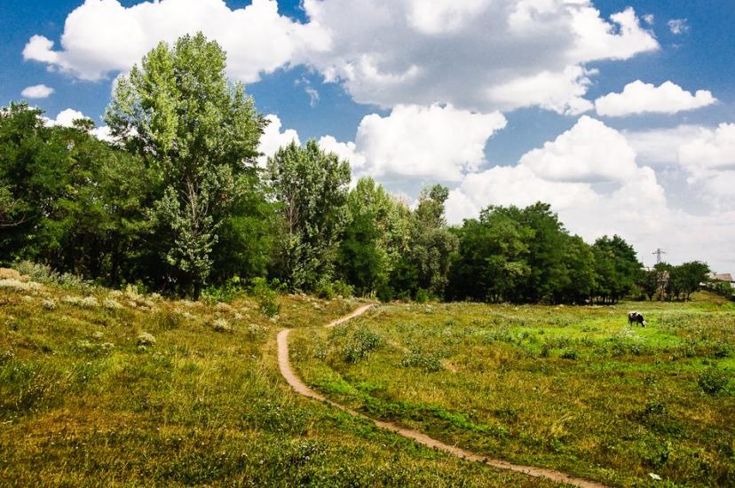 Борова з panoramio.com - Борова