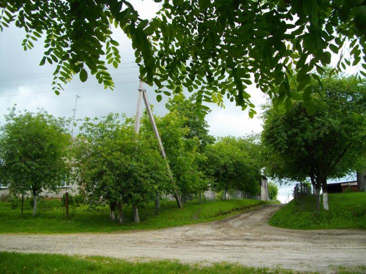 Озеро з panoramio.com - Озеро
