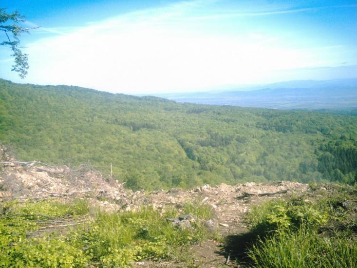 Яблунівка з panoramio.com - Яблоновка