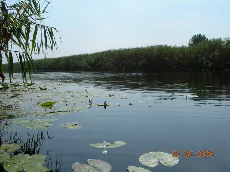 Миргороди з panoramio.com - Миргороди