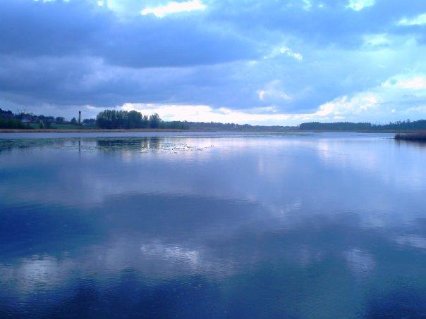 Сорока з panoramio.com - Сорока