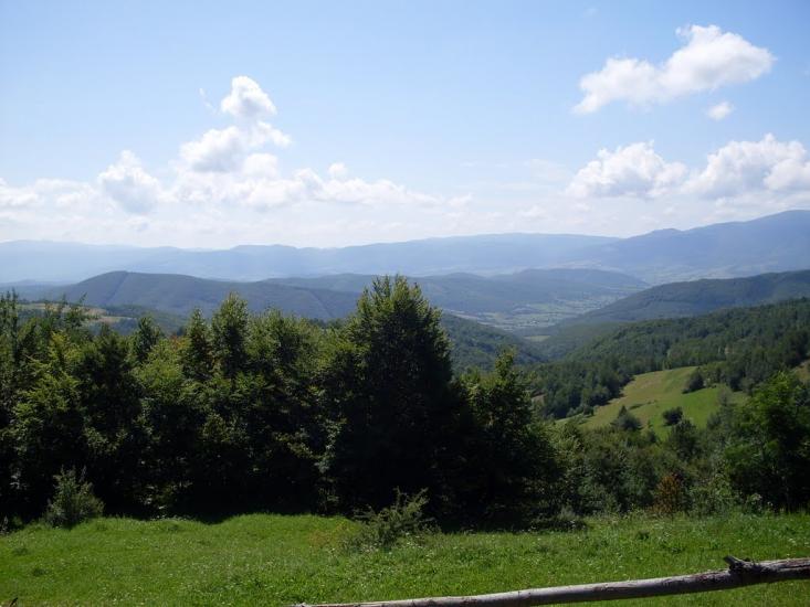 Вільшинки з panoramio.com - Вільшинки