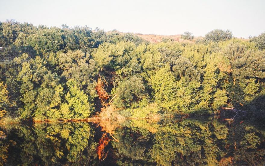 Куріпчине з panoramio.com - Kuripchyne