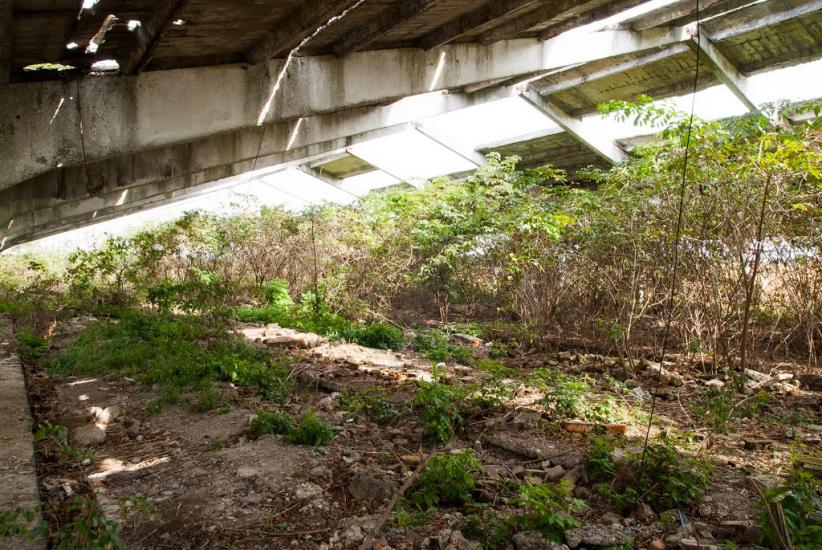 Гожули з panoramio.com - Гожулы